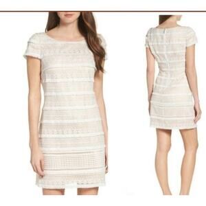 Eliza J. Geo Short Sleeve Lace Mini Sheath Dress Cream Womens US 8 Office Formal